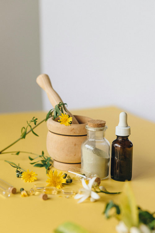 Dossier : Endobiogénie – Phytothérapie : vers une approche intégrative en santé
