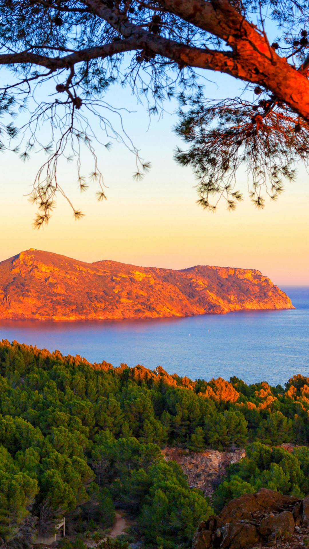 Focus sur : Climat, environnement et santé en Méditerranée