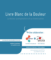 Livre blanc de la douleur